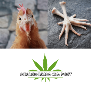 Chicken Heads and feet
