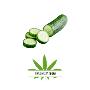 Cucumber