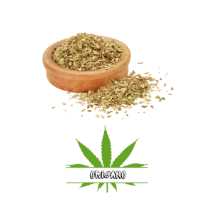Origano