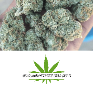 Outdoor Skywalker Bulk
