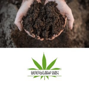 Seedling Mix