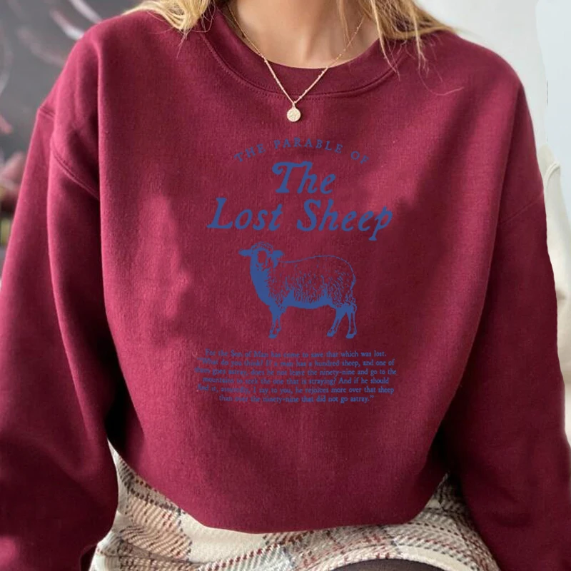 Parable of The Lost Sheep Bible Verse Sweatshirt Faith Based Worship Gospel Hooded Christian Clothes Catholic Religious - Image 3